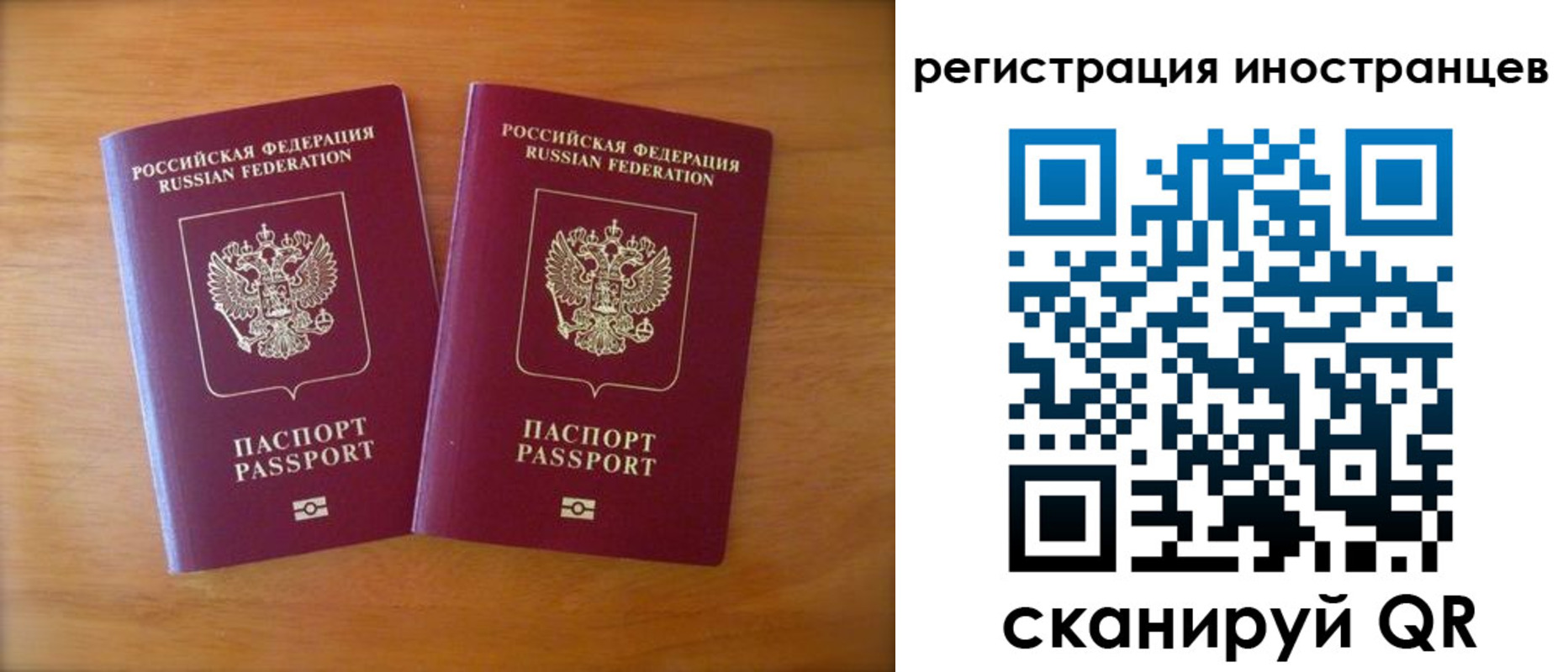 прописка поиск в Камчатской области
